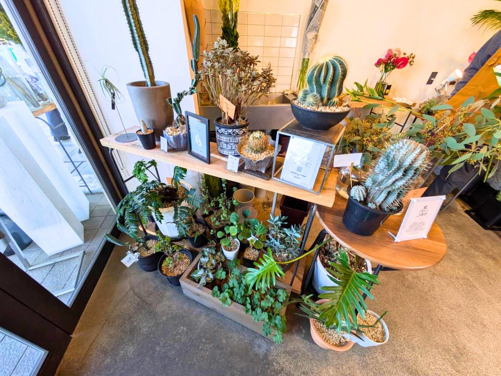 店内の様子です